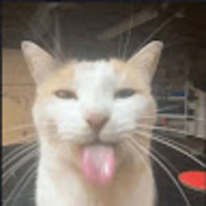 Meet your Posher, Jay